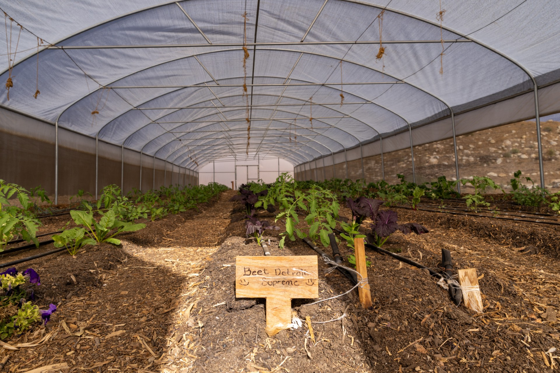 Dr. Bill Releford owns Bloom Ranch in Acton, a 250-acre farm in Acton. Releford, a podiatrist based in Los Angeles started the 250-acre Bloom Ranch — he largest Black-owned ranch in Los Angeles County — in 2023. The ranch provides access to nutritional fruits and vegetables, a part of Releford’s strategy for focusing on wellness and preventive care.